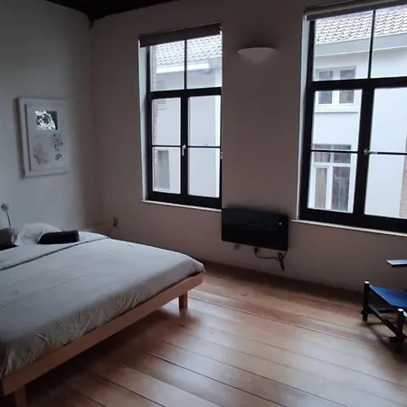 De Wijngaard Holiday home Ghent