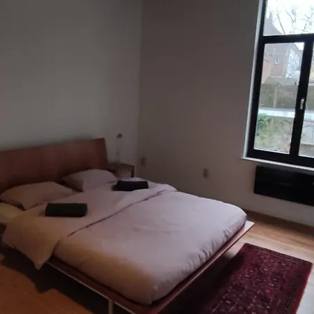 De Wijngaard Holiday home Ghent
