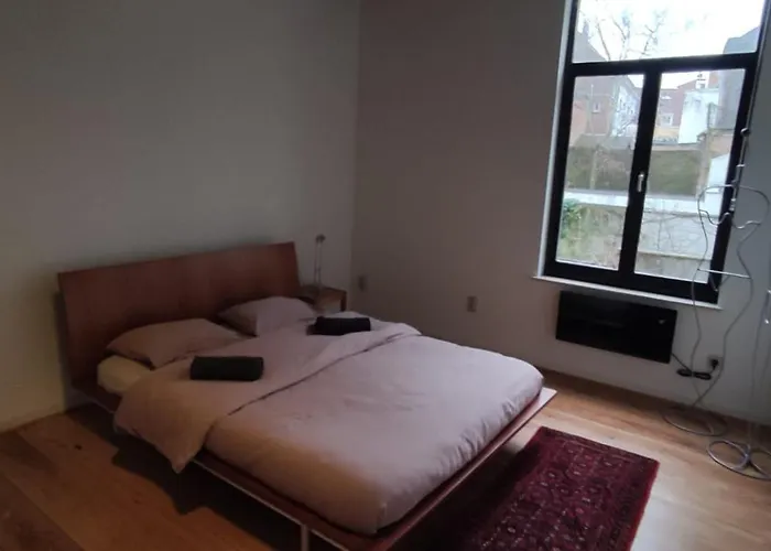 De Wijngaard Vakantiehuis Gent