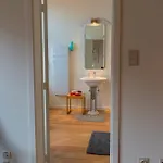 De Wijngaard